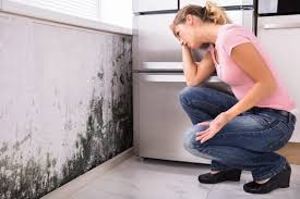 Best Mold Prevention Services  in Parksdale, CA