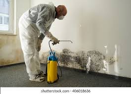 Best Mold Damage Restoration  in Parksdale, CA